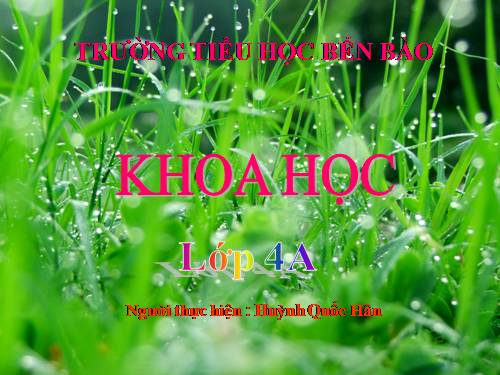 Bài 16. Ăn uống khi bị bệnh