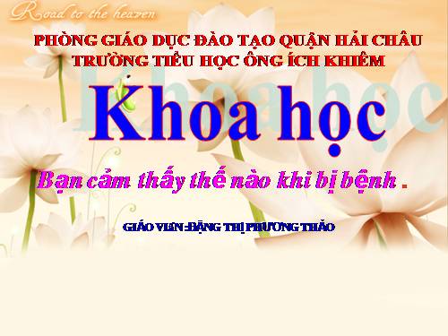 Bài 15. Bạn cảm thấy thế nào khi bị bệnh?
