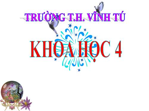 Bài 26. Nguyên nhân làm nước bị ô nhiễm