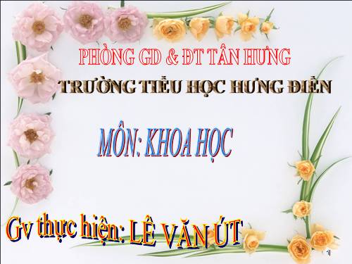 Bài 28. Bảo vệ nguồn nước