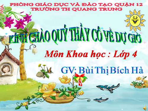 Bài 20. Nước có những tính chất gì?