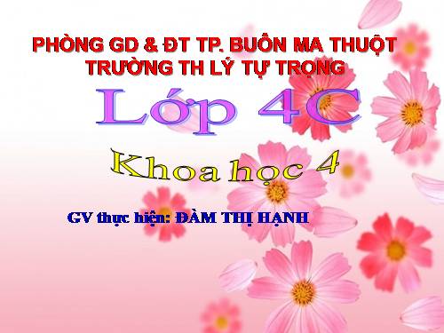 Bài 7. Tại sao cần ăn phối hợp nhiều loại thức ăn?
