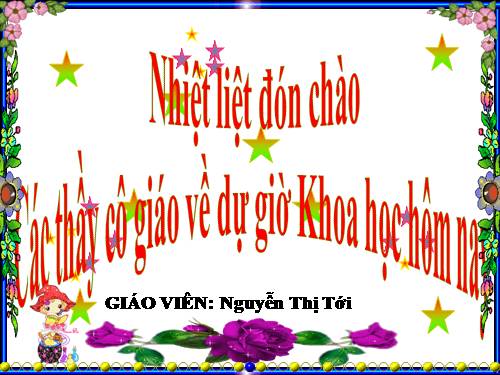 Bài 32. Không khí gồm những thành phần nào?
