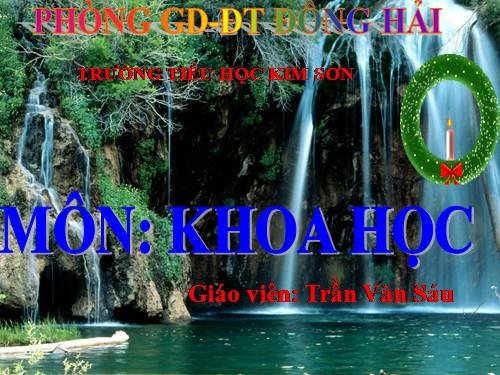 Bài 4. Các chất dinh dưỡng có trong thức ăn. Vai trò của chất bột đường