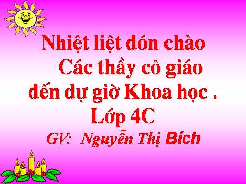 Bài 15. Bạn cảm thấy thế nào khi bị bệnh?