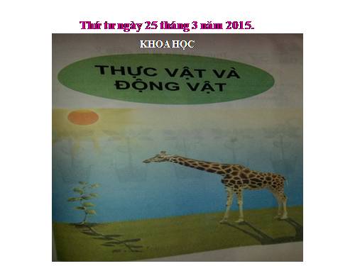 Bài 57. Thực vật cần gì để sống?