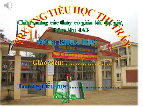 Bài 57. Thực vật cần gì để sống?