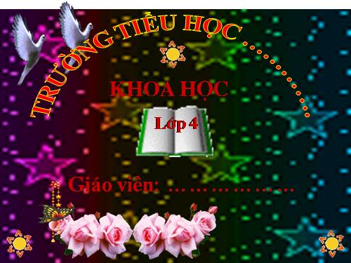 Bài 57. Thực vật cần gì để sống?