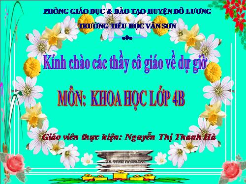 Bài 63. Động vật ăn gì để sống?
