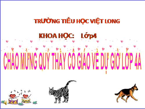 Bài 63. Động vật ăn gì để sống?