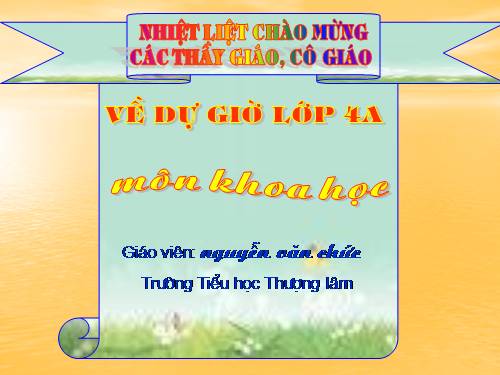 Bài 17. Phòng tránh tai nạn đuối nước