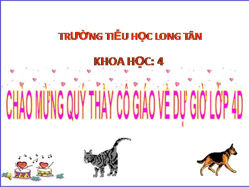 Bài 63. Động vật ăn gì để sống?