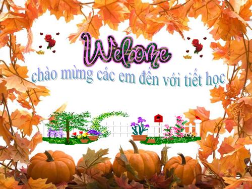 Bài 63. Động vật ăn gì để sống?
