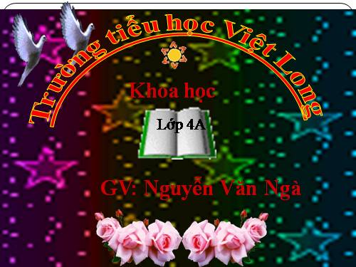 Bài 60. Nhu cầu không khí của thực vật