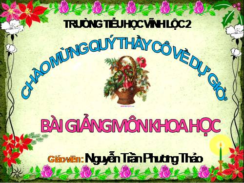 Bài 63. Động vật ăn gì để sống?