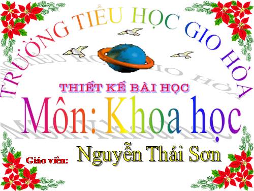 Bài 55 - 56. Ôn tập: Vật chất và năng lượng