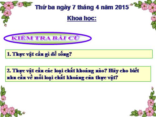 Bài 60. Nhu cầu không khí của thực vật