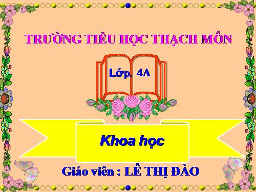 Bài 58. Nhu cầu nước của thực vật