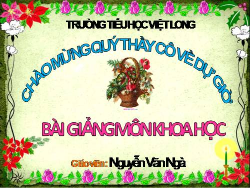 Bài 58. Nhu cầu nước của thực vật