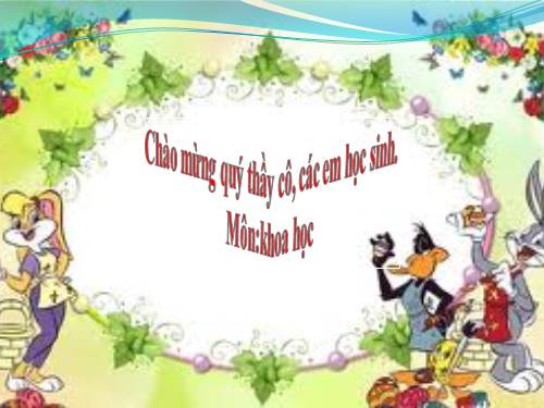 Bài 57. Thực vật cần gì để sống?