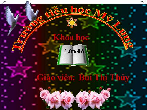 Bài 60. Nhu cầu không khí của thực vật