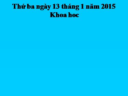 Bài 41. Âm thanh