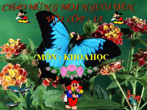 Bài 60. Nhu cầu không khí của thực vật