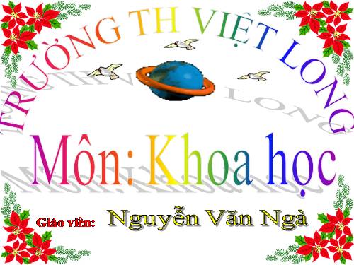 Bài 55 - 56. Ôn tập: Vật chất và năng lượng