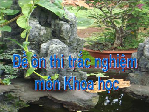 on thi trắc nghiệm khoa hoc