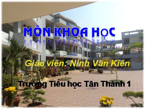 Bài 52. Vật dẫn nhiệt và vật cách nhiệt