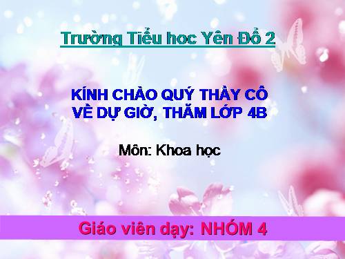 Bài 59. Nhu cầu chất khoáng của thực vật