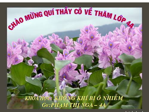 Bài 39. Không khí bị ô nhiễm