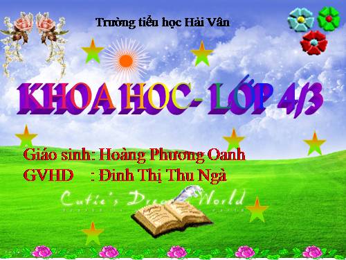 Bài 54. Nhiệt cần cho sự sống
