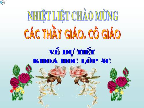 Bài 49. Ánh sáng và việc bảo vệ đôi mắt
