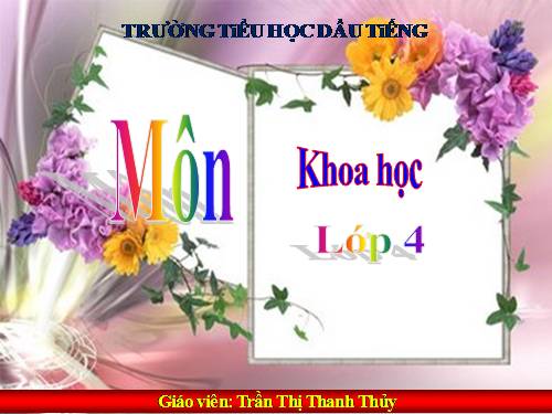 Bài 40. Bảo vệ bầu không khí trong sạch