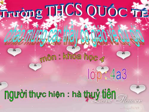 Bài 26. Nguyên nhân làm nước bị ô nhiễm