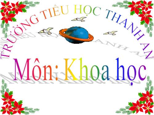Bài 48. Ánh sáng cần cho sự sống (tiếp theo)