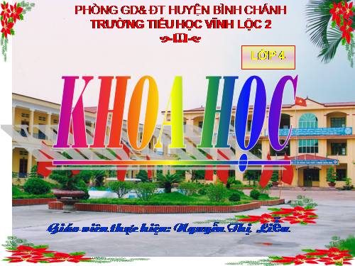 Bài 47. Ánh sáng cần cho sự sống