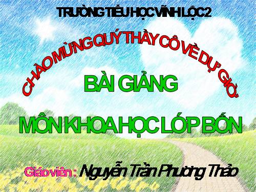 Bài 47. Ánh sáng cần cho sự sống