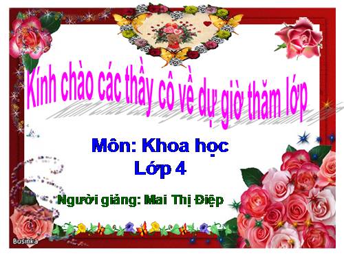 Bài 41. Âm thanh