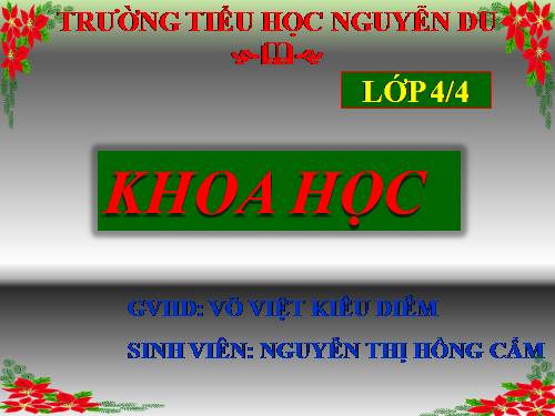 Bài 47. Ánh sáng cần cho sự sống