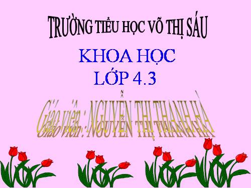 Bài 40. Bảo vệ bầu không khí trong sạch