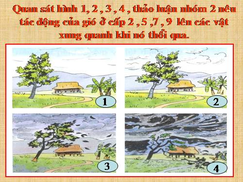 Bài 38. Gió nhẹ, gió mạnh. Phòng chống bão