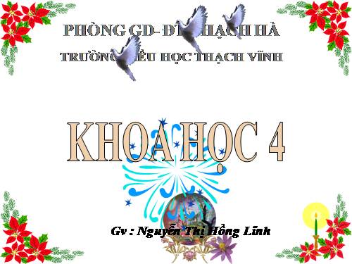 Bài 26. Nguyên nhân làm nước bị ô nhiễm
