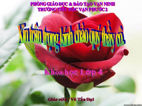 Bài 22. Mây được hình thành như thế nào? Mưa từ đâu ra?