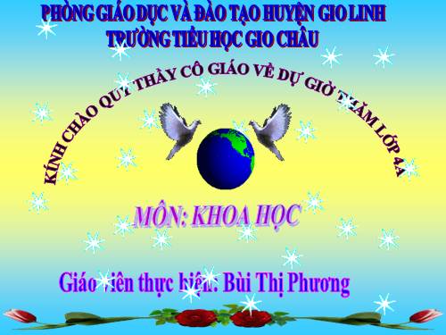 Bài 29. Tiết kiệm nước