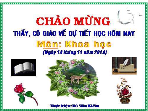 Bài 26. Nguyên nhân làm nước bị ô nhiễm
