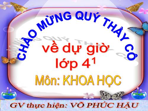 Bài 10. Ăn nhiều rau và quả chín, sử dụng thực phẩm sạch và an toàn
