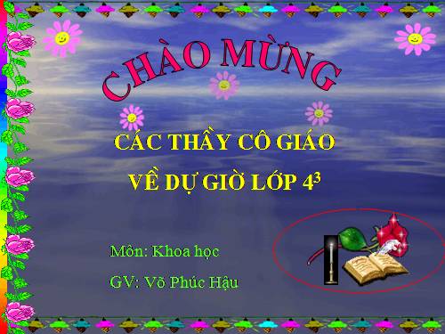 Bài 29. Tiết kiệm nước