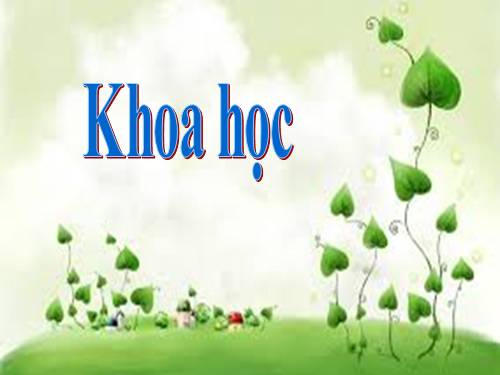 Bài 30. Làm thế nào để biết có không khí?